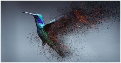 1650422033797342.png image.png